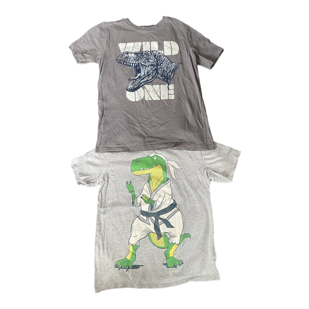 3/10$ Bundle of two Gray Dinosaur Graphic T-Shirts Size Boy 5